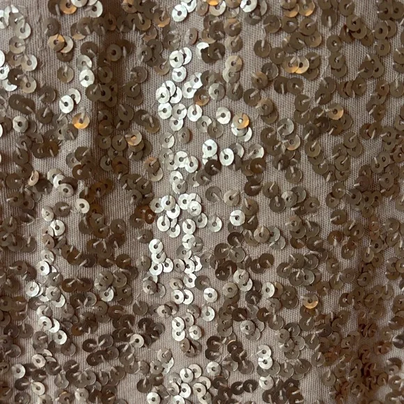 J Crew Rose Gold Sequin Top - Picture 3 of 5